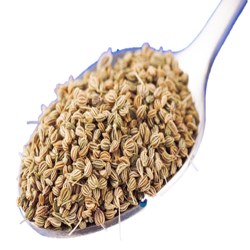 INDIAN SPICES MANUFACTURER EXPORTER SUPPLIER PRODUCER UNJHA GUJARAT